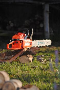 Tronçonneuse STIHL professionnelle